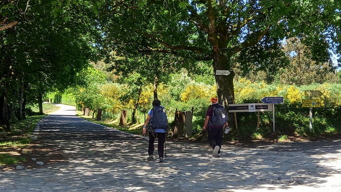 O evento busca analizar o Camiño de Santiago como espazo de benestar. Foto: Lucrezia López