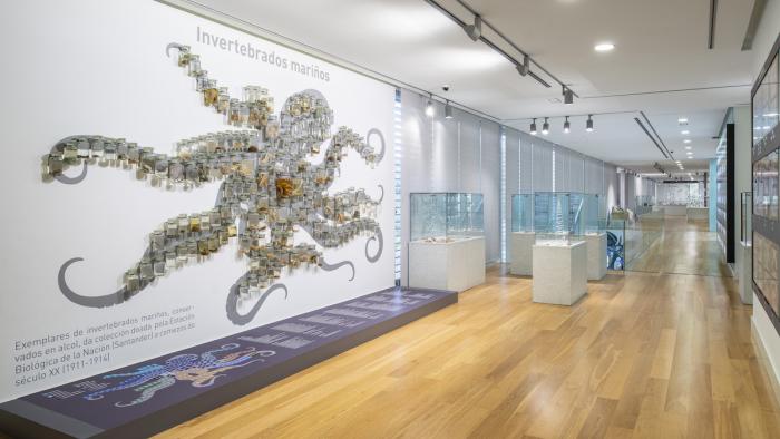 Imaxe da exposición da planta primeira: Biodiversidade Mariña