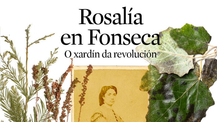 Rosalía en Fonseca