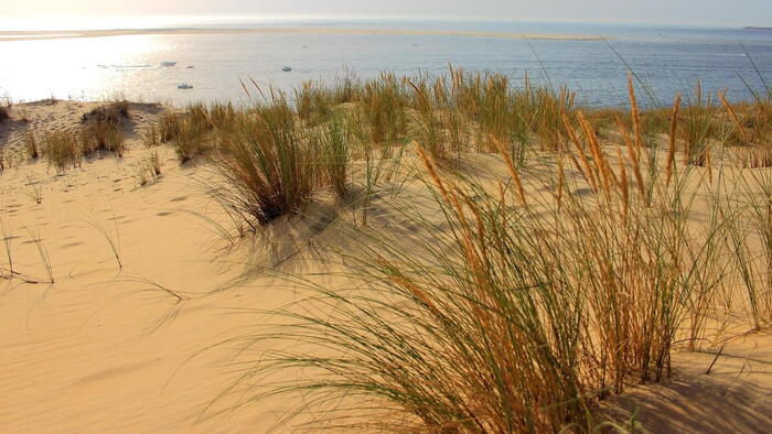 Moito máis que area: dunas