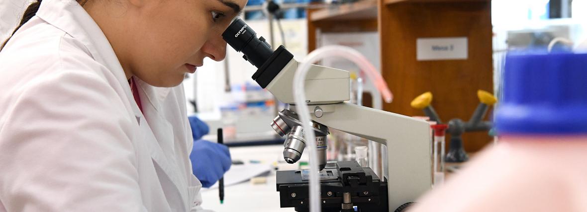 Facultade de Farmacia