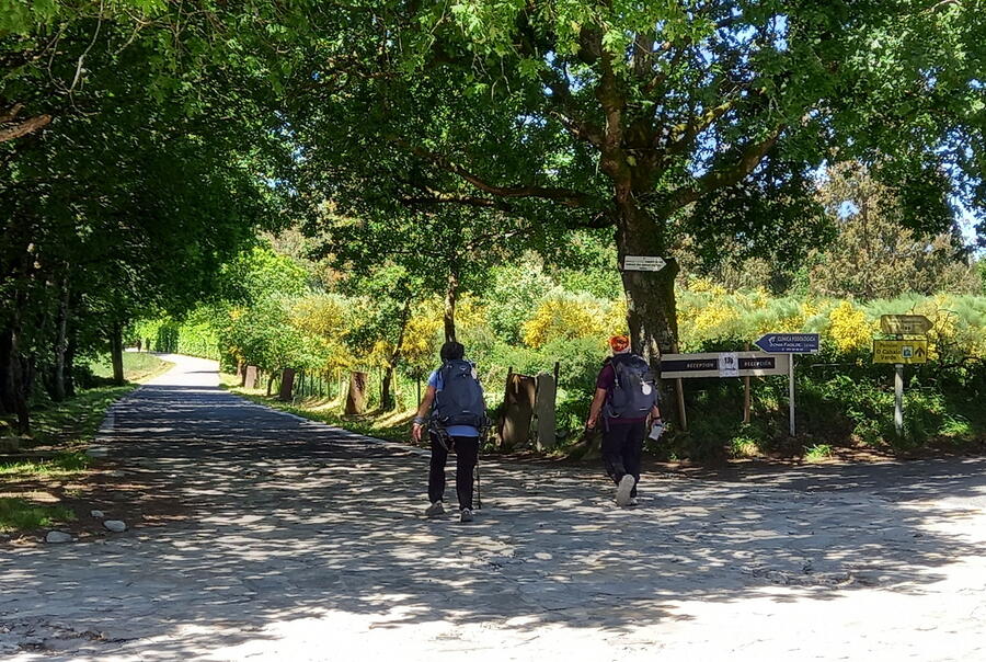 O evento busca analizar o Camiño de Santiago como espazo de benestar. Foto: Lucrezia López