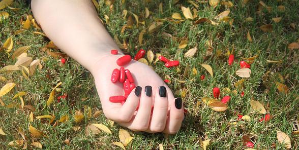 Imaxe de Hasty Words en Pixabay