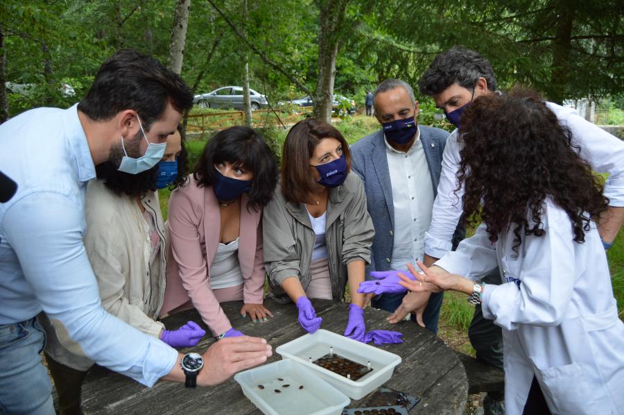 Ameijide, Do Campo, Valcárcel, Vázquez, Carballo, Arias y Ondina, en O Veral
