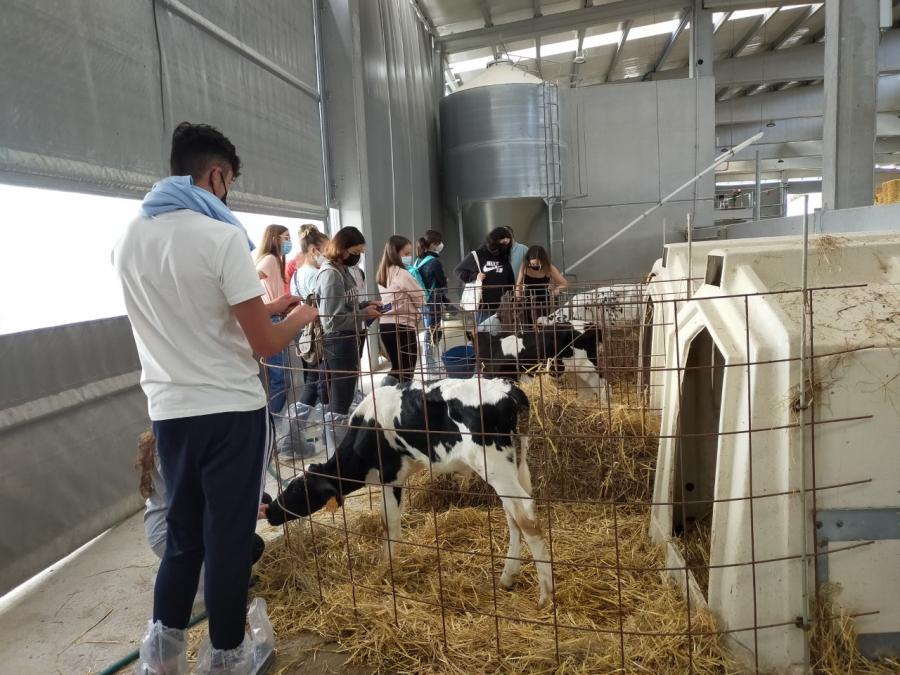 Uniersitarios na Granxa do Campus Terra