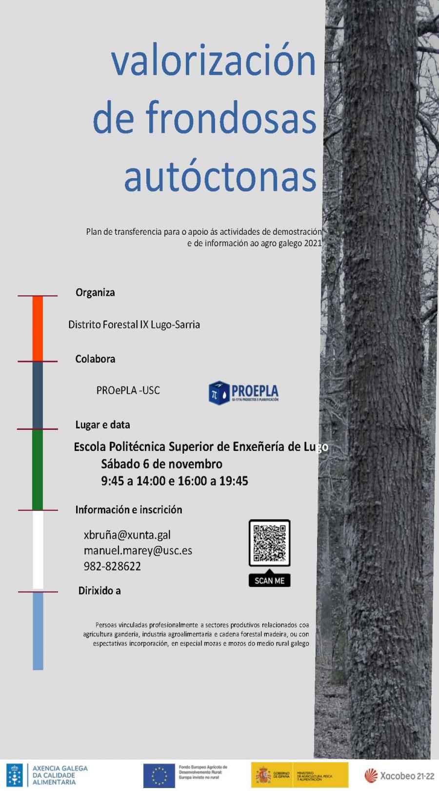 Cartaz co programa da xornada 'Valorización de frondosas autóctonas'