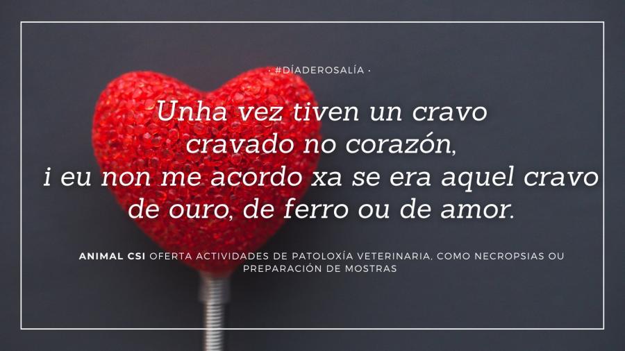 'Memes' que relacionan a poética de Rosalía de Castro cos Kits de divulgación científica de XuvenCiencia