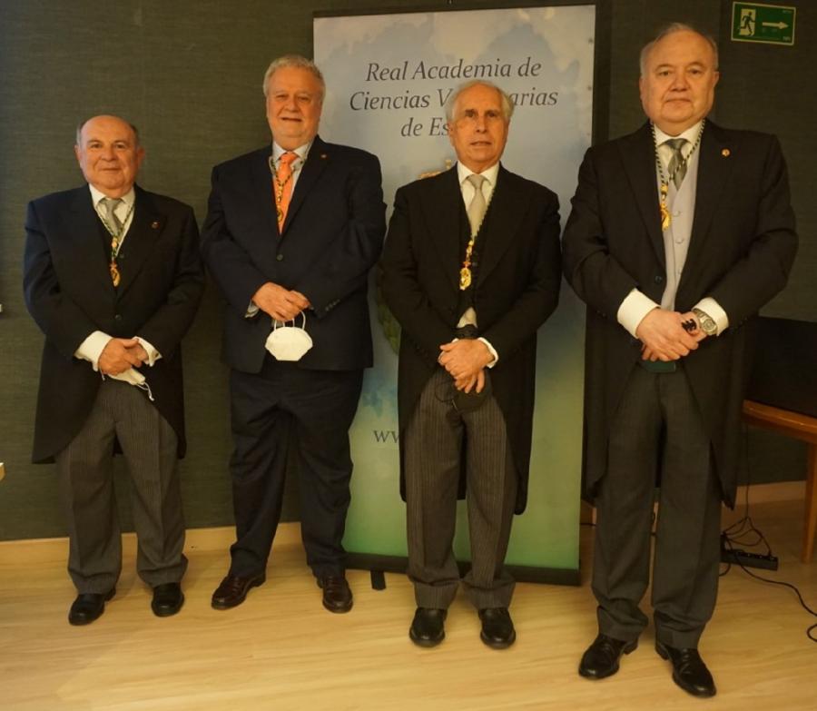 De esquerda a dereita, Salvio Jiménez, Juan Carlos Illera, Arturo Anadón e José Luis Benedito, na sede da RACVE