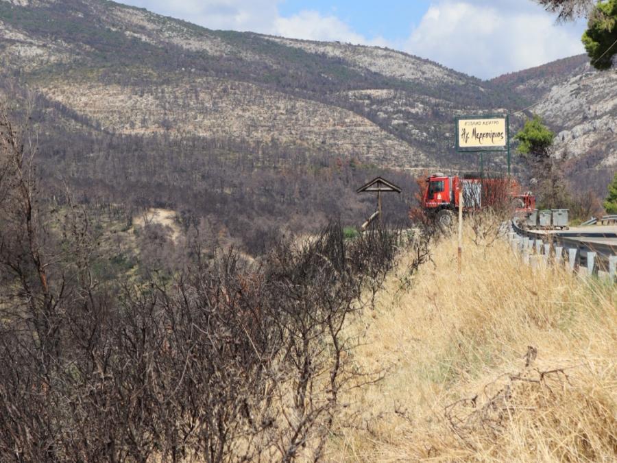 Territorio heleno afectado polas lapas. Foto: Iria Souto