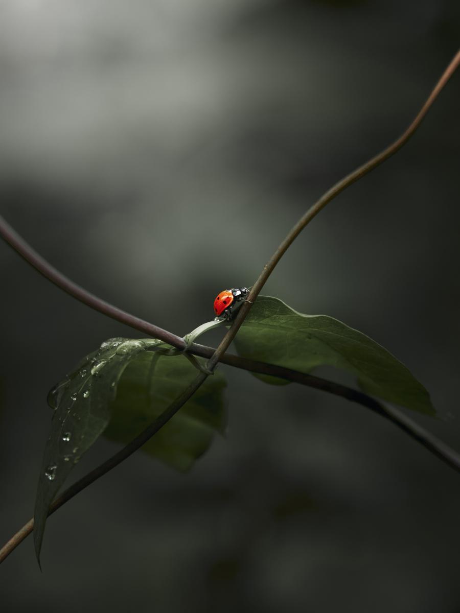 Javier Cabana Soengas por ‘Cruce de camiños’ gañou o terceiro premio
