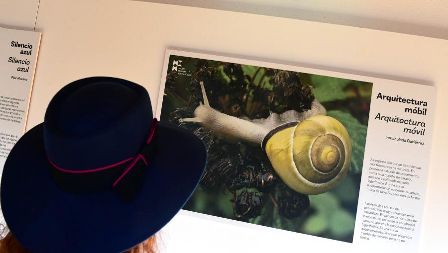 Un ducia de fotografías que descobren na natureza elementos xeométricos, simetrías e outros conceptos matemáticos. FOTO: Santi Alvite