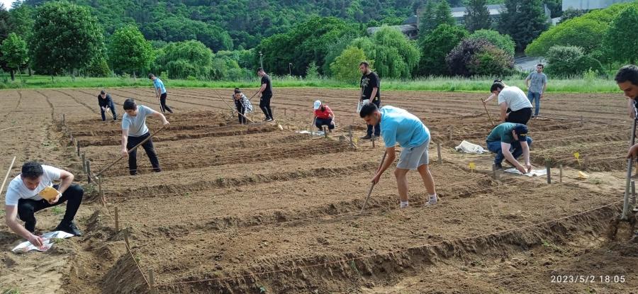 Sementeira e laboreo da terra por parte de alumnado da EPS de Enxeñaría