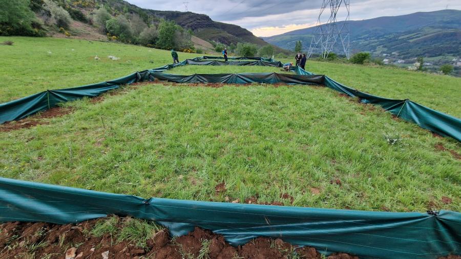 Parcelas de control de rata toupa establecidas en Triacastela