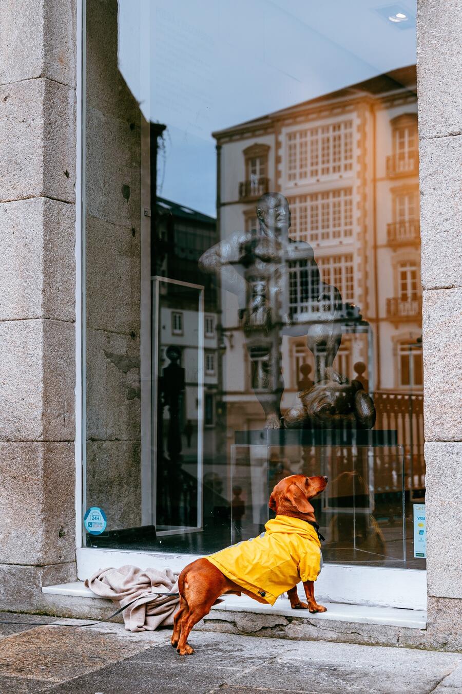 O Premio Eduardo Ochoa á mellor fotografía de tema libre, dotado con 300 euros, foi para Begoña Pérez López por ‘Artecan’