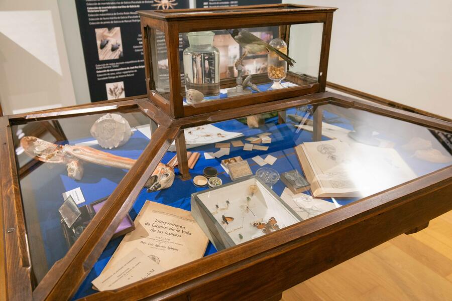 MHN. Difusión da historia natural e defensa da natureza