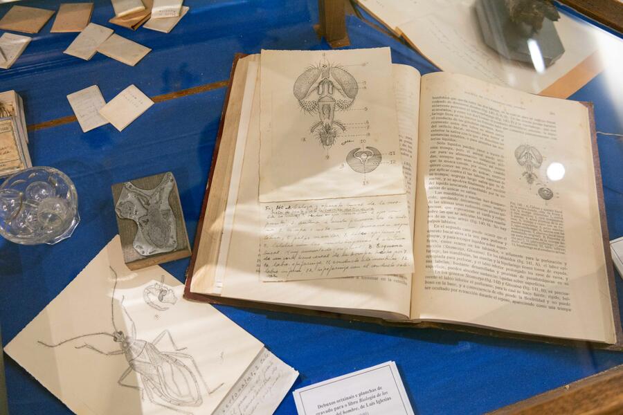 MHN. Difusión da historia natural e defensa da natureza