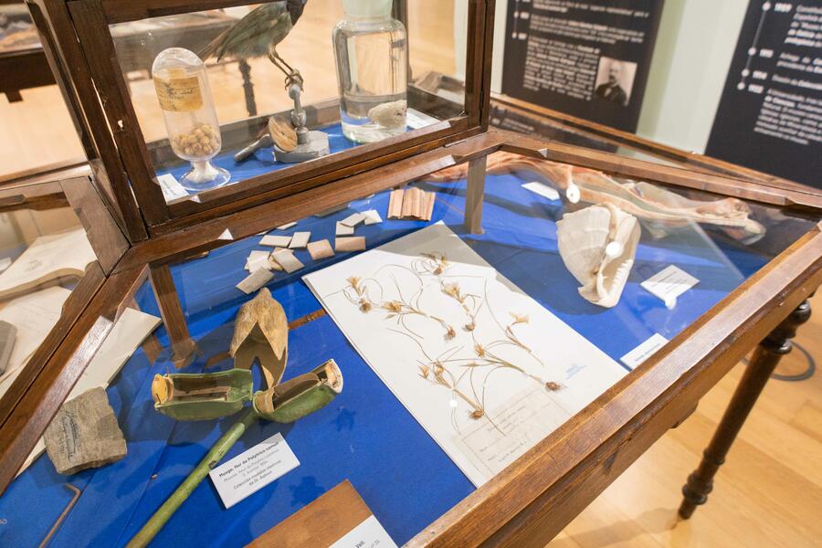 MHN. Difusión da historia natural e defensa da natureza