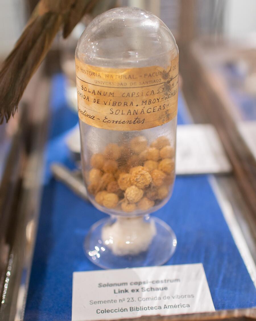 MHN. Difusión da historia natural e defensa da natureza