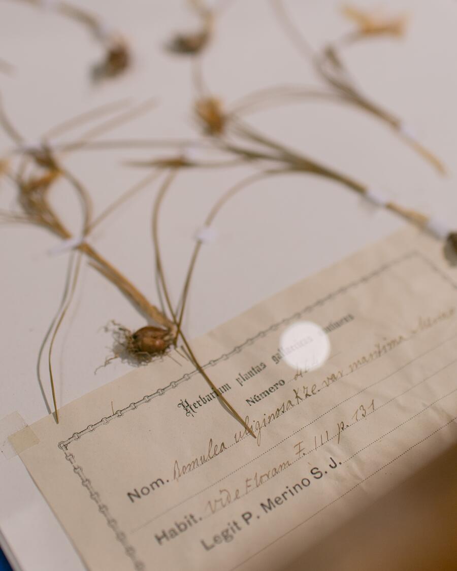 MHN. Difusión da historia natural e defensa da natureza