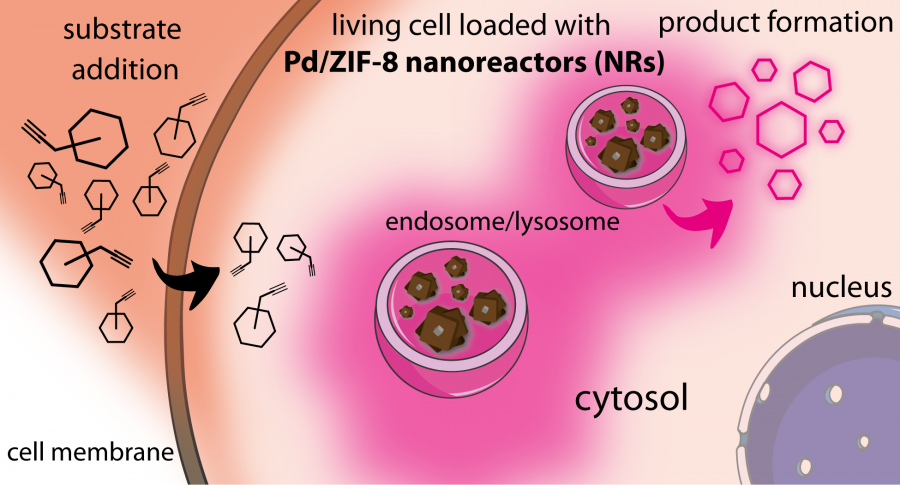 A investigación propón un novo nanosistema híbrido formado por un núcleo metálico (paladio) e unha cortiza porosa baseada nunha rede metalo-orgánica (MOF, Metal-Organic Framework)