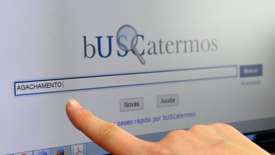 Con respecto a 2019, o número de usuarios que accederon ao bUSCatermos en 2020 veuse incrementado en máis dun 3%. FOTO: Santi Alvite