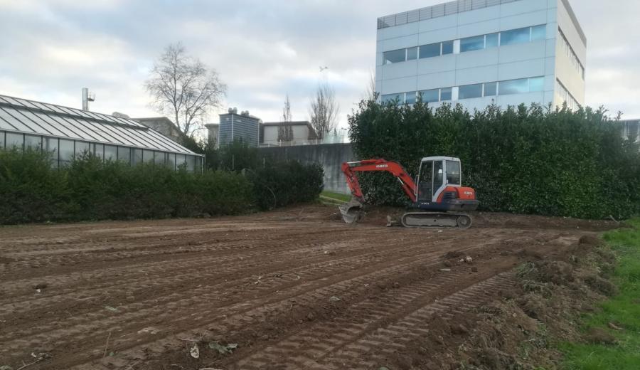 Terreos do Campus de Lugo habilitados para hortos ecolóxicos