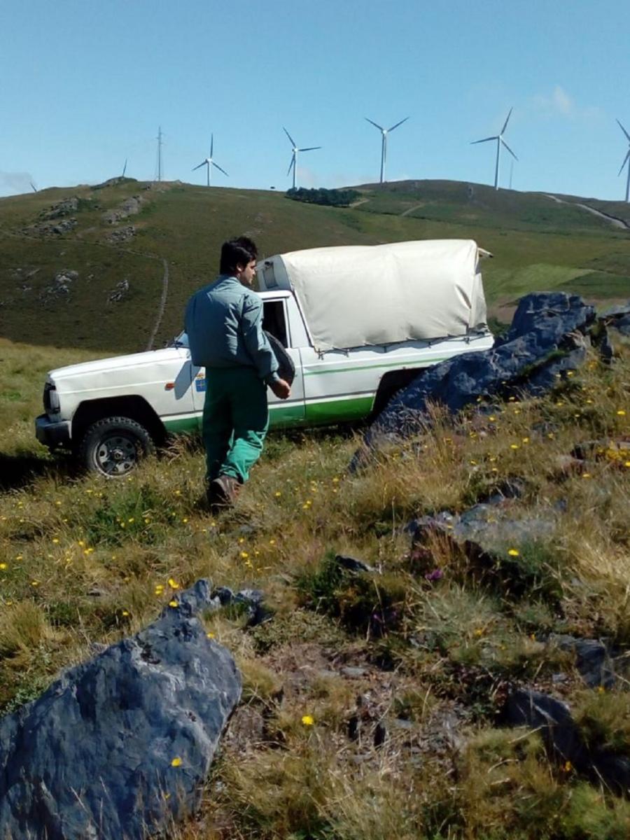 Andrés Osoro, nunha estadía de investigación no Serida, en Illano (Asturias). Imaxe de arquivo