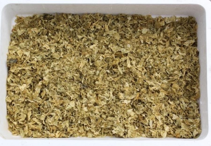 Algas empregadas para a alimentación dos coellos