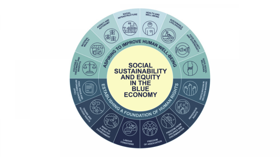 Figura do artigo. Promover a sustentabilidade social e a equidade na economía azul establecendo unha base de dereitos humanos e aspirando a mellorar o benestar humano