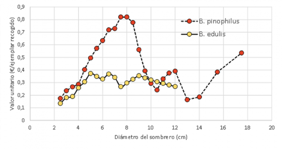 Gráfica sobre valor unitario de cogomelos respecto do diámetro de sombreiro