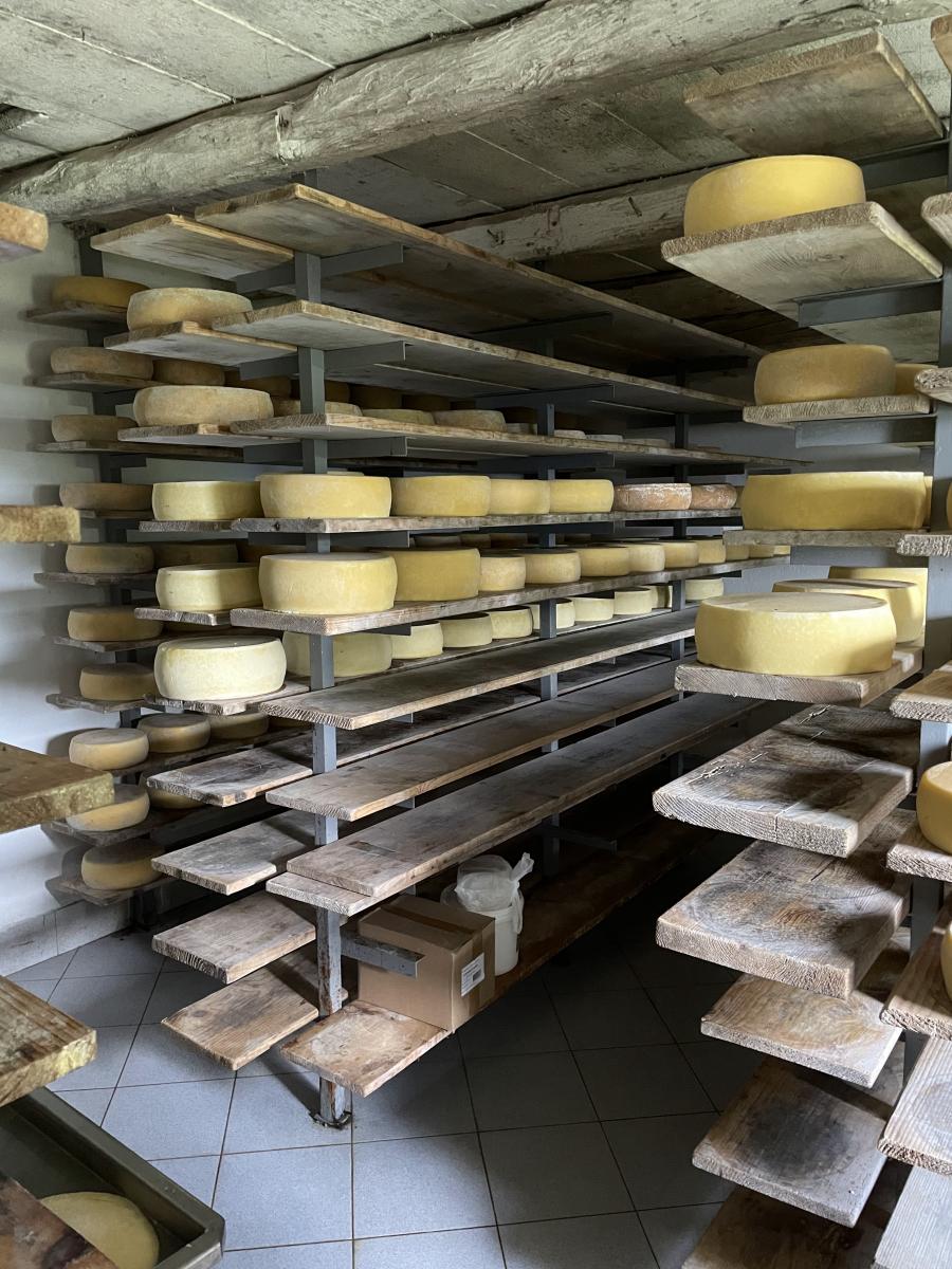 Queixo Tolminc esloveno