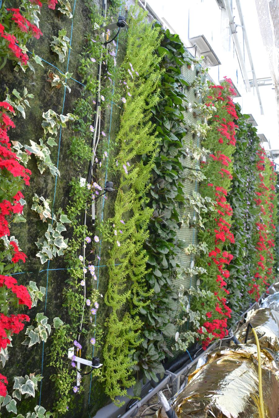 A instalación de xardíns verticais achega tamén vantaxes sociais e económicas como a mellora do valor estético do ambiente tanto exterior como interior dos edificios