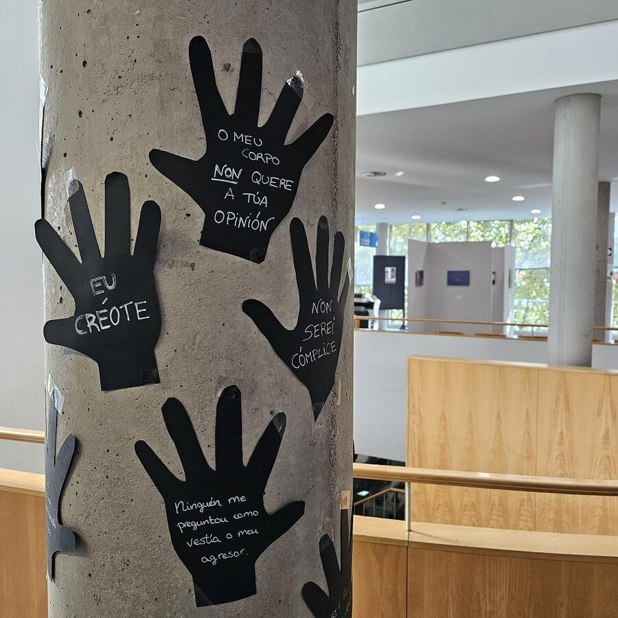 Acción realizada na biblioteca Intercentros de Lugo con motivo do 25N