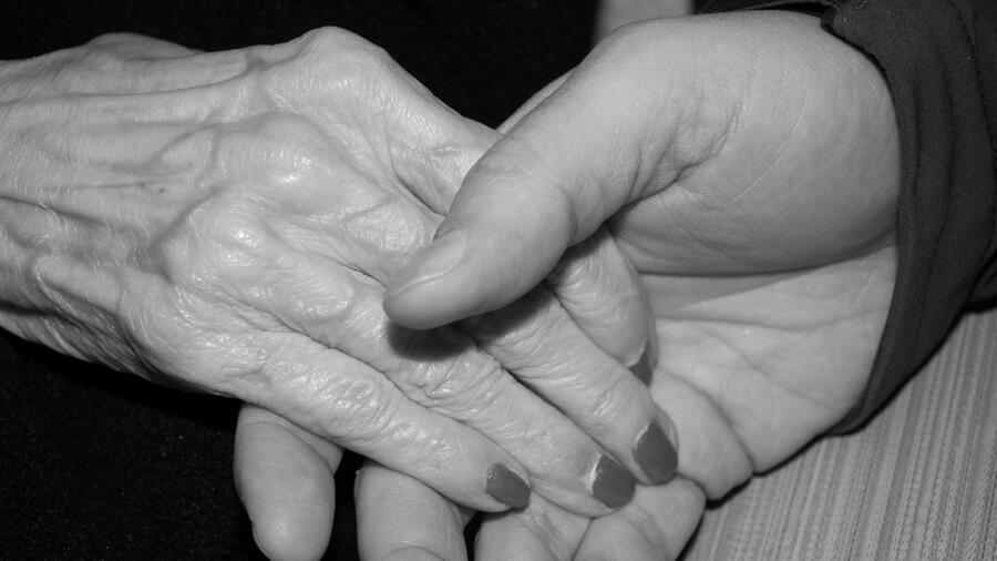 O killifish é útil para os estudos de envellecemento