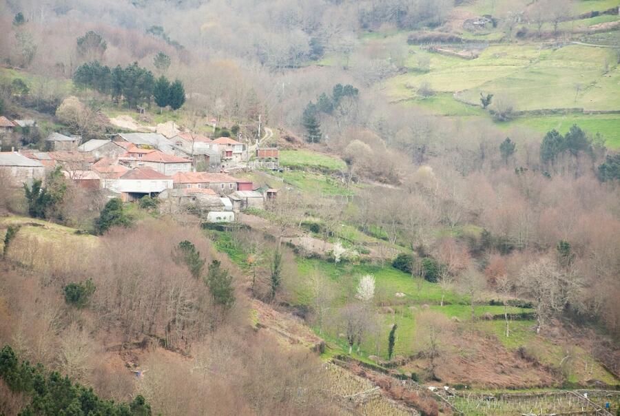 La actividad científica de María do Mar Pérez se centra en el diseño, desarrollo y evaluación de políticas de Desarrollo Rural