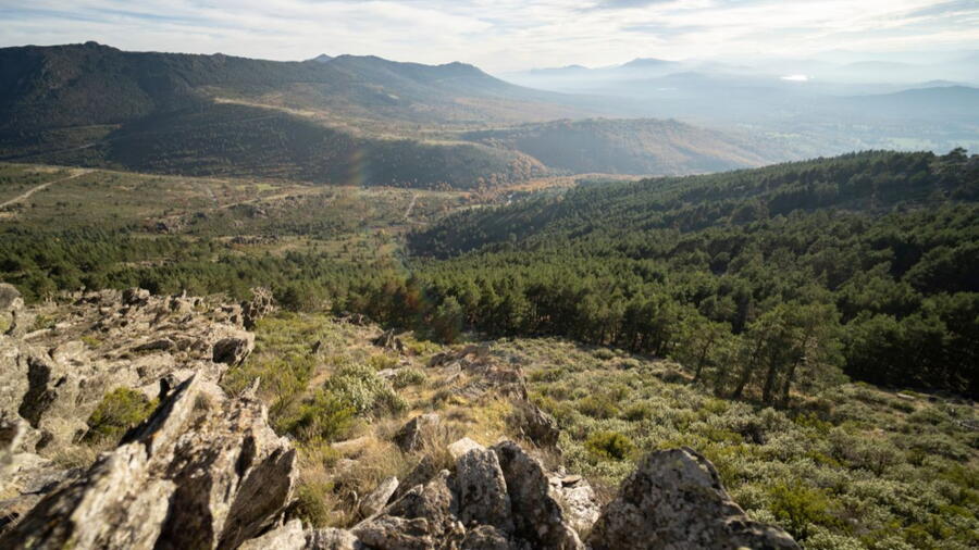 El grupo UXAFORES lleva años trabajando para conocer el grado de contaminación que se está produciendo en suelos, vegetales y aguas de Galicia