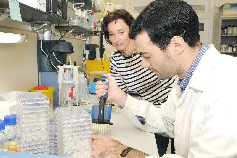 Investigadores da USC avanzan nun mecanismo alternativo aos antibióticos co que tratar infeccións acuícolas