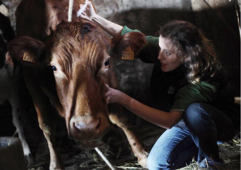 O II Certame ‘Ruth Matilda Anderson’ da USC retrata o traballo das mulleres 