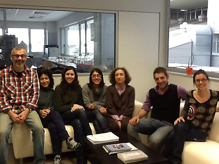 Reconstrúen a través das turbeiras de montaña do Xistral a historia da contaminación atmosférica por metais traza no noroeste ibérico dende comezos do XIX