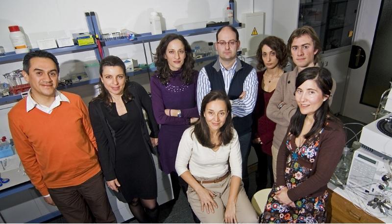 Premian ao grupo LIDSA por un estudo sobre a presenza de substancias altamente tóxicas en parques infantís