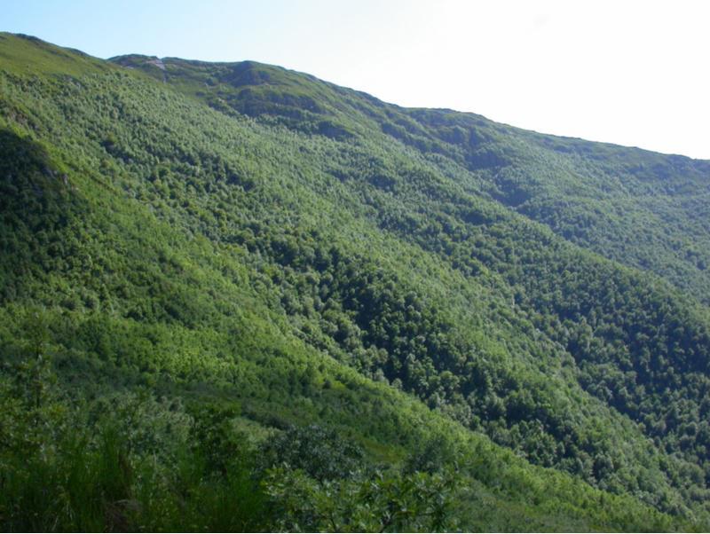 A EPS de Lugo elabora as liñas prioritarias de actuación para o futuro parque natural da Serra do Courel