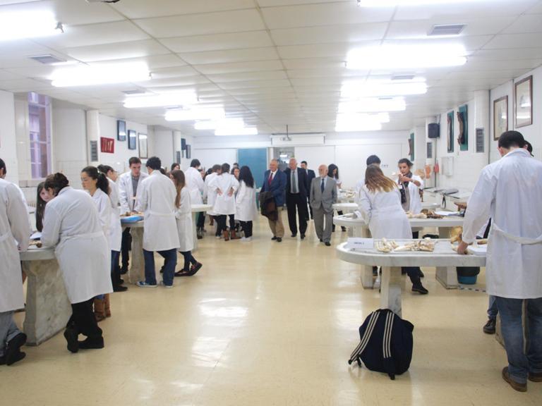 Cátedra de Educación Médica para a Universidade de Santiago