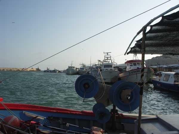 Investigadores das Universidades de Santiago e Vigo achegan recomendacións de política pública para mellorar a xestión dos servizos ecosistémicos mariños