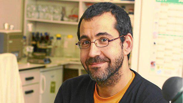 Descobren que un xene regulador da división celular contribúe a manter as células nai do cerebro