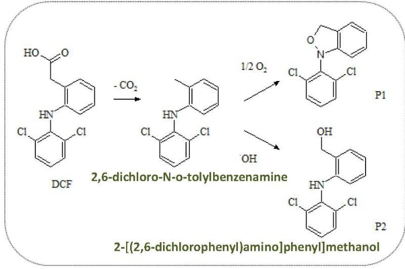 Unha tese da USC avoga por utilizar lacasas para eliminar de maneira sostible compostos altamente contaminantes