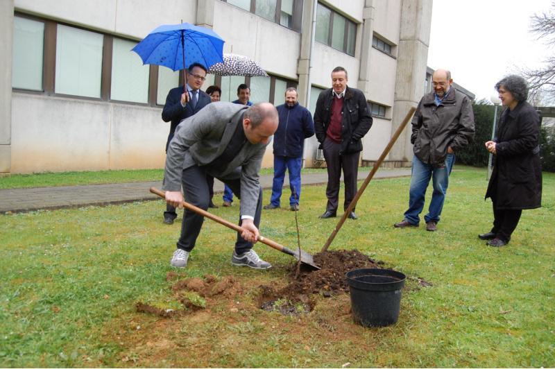 A Escola Politécnica Superior conmemora o Día Forestal coa plantación dunha árbore nun dos xardíns interiores do centro