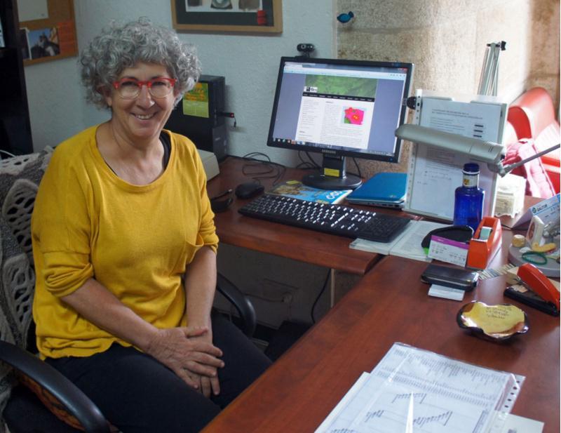 O grupo GEPN desenvolve unha plataforma que moderniza o sistema de recollida, tratamento e presentación de información arqueolóxica