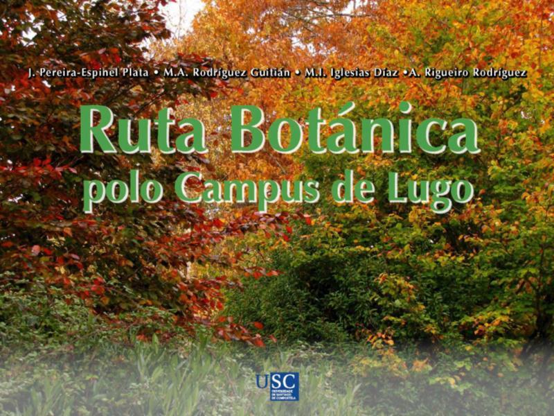 As cidades de Pontevedra e Lugo, protagonistas de dous novos títulos da USC en acceso aberto