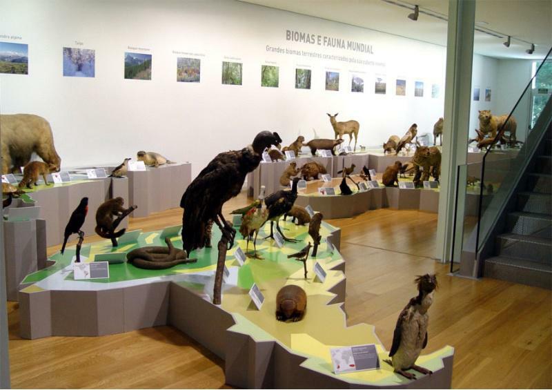 O Museo de Historia Natural da USC abre as súas portas ao público