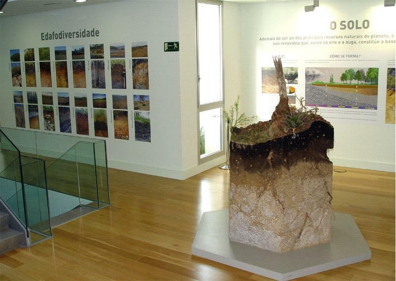 O Museo de Historia Natural da USC abre as súas portas ao público